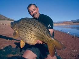 peste mare - tegh.jpg